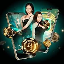 277 bet